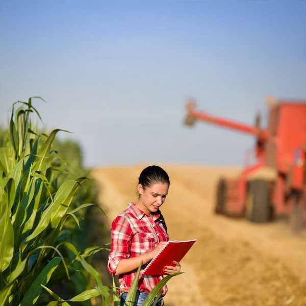 Grow Better with Our Expert Insights