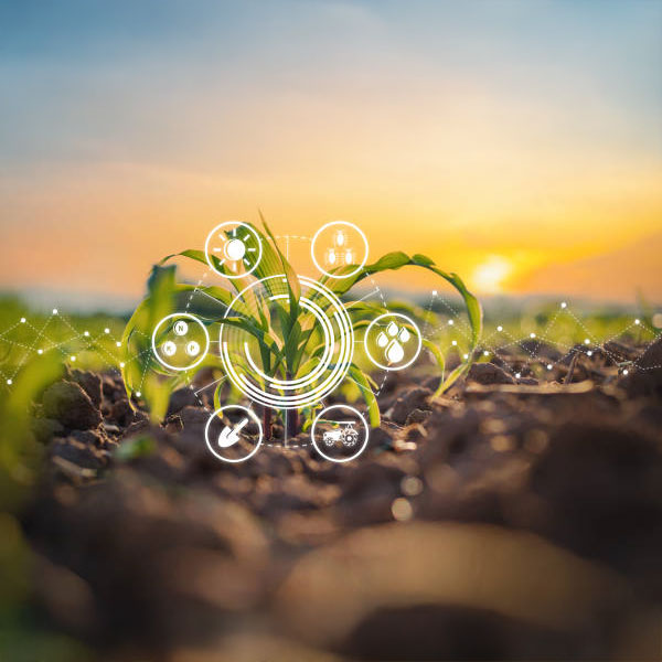 Explore Expert Insights and Farming Tips