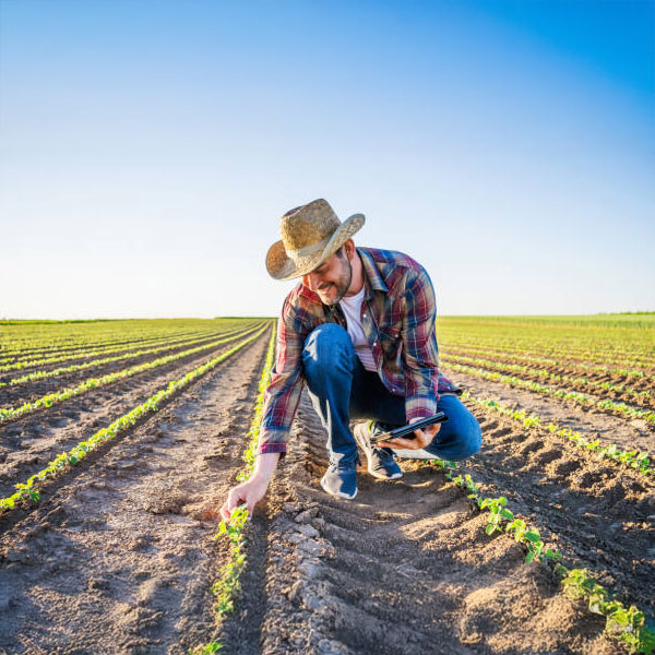 Discover Innovation in Sustainable Farming