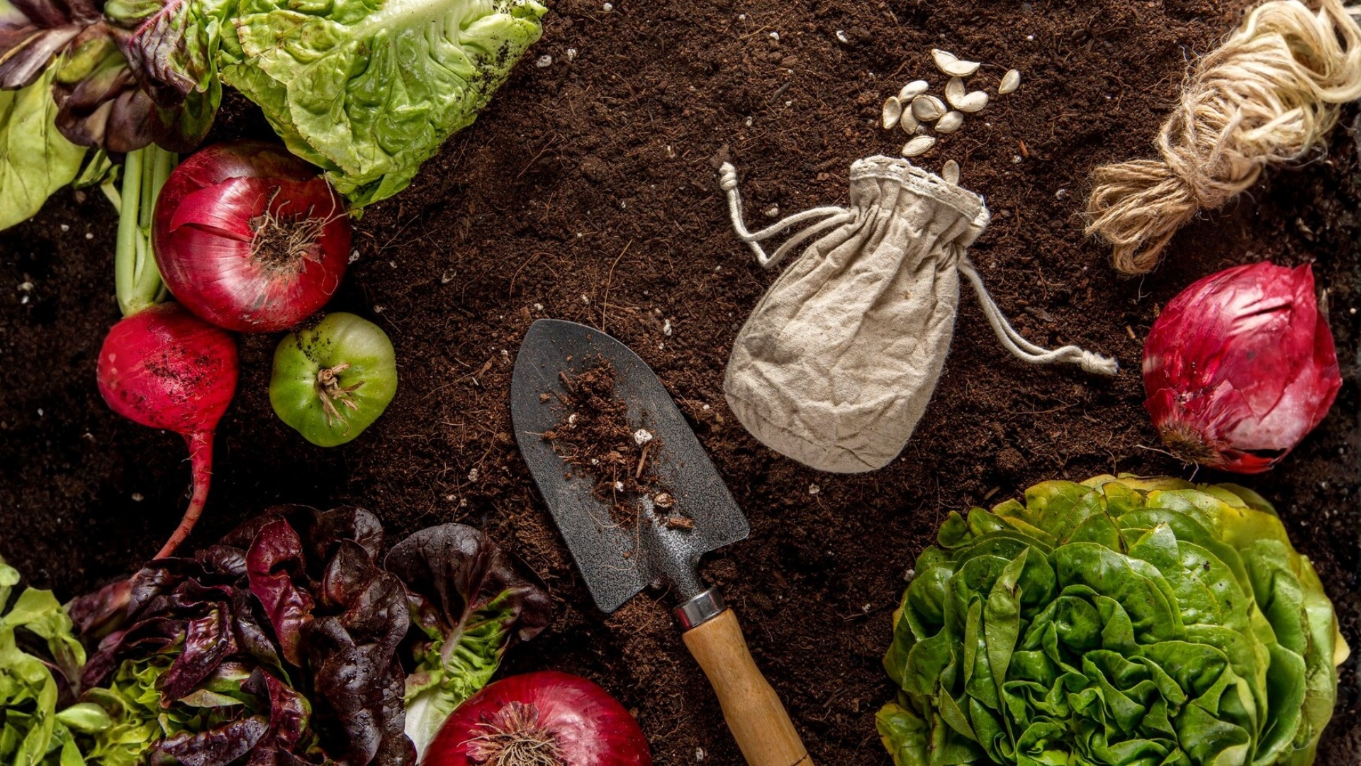 Vegetables & Flowers